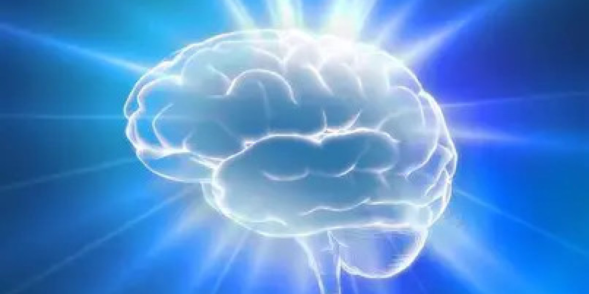 Natural Cognitive Support to Improve Focus, Memory, and Mental Clarity