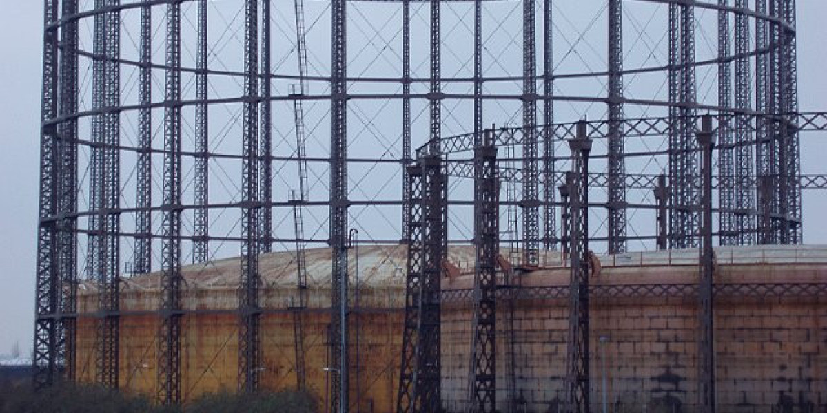 Titel: IGF-1 – Das Wachstumshormon im Fokus