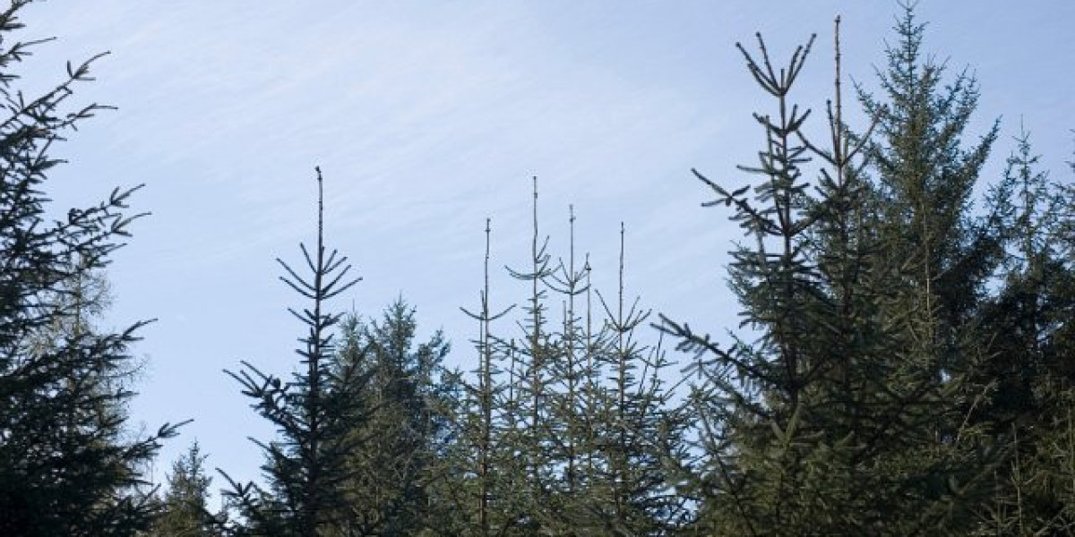 HGH Wachstumshormon: Bodybuilding Leitfaden