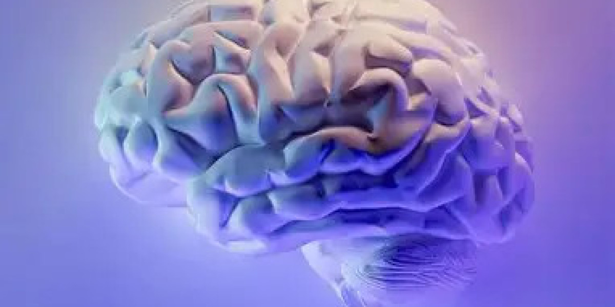 Enhance Cognitive Function Naturally for Better Focus and Mental Clarity