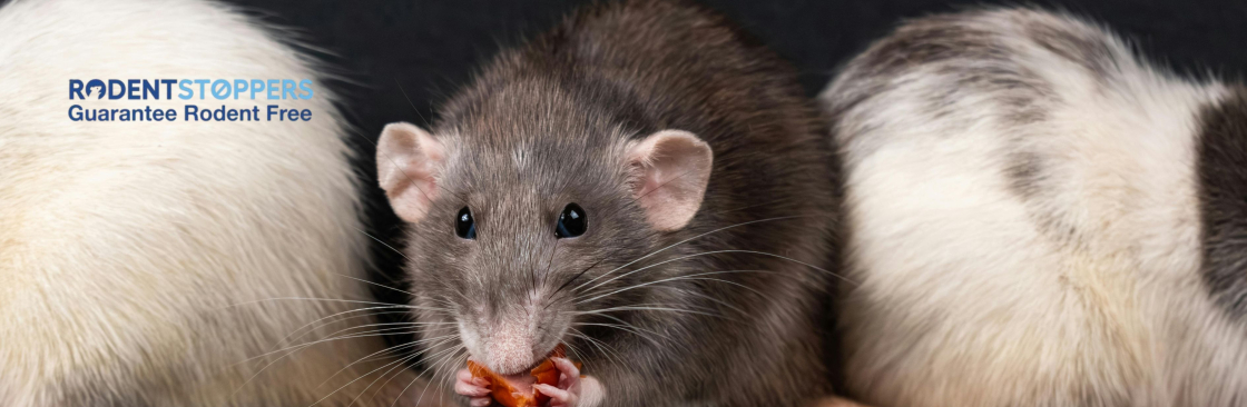 Rodent Stoppers Cover Image