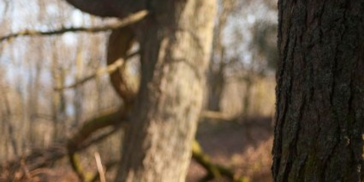 G+H GROUP – Aktuelle Infos & Neuigkeiten