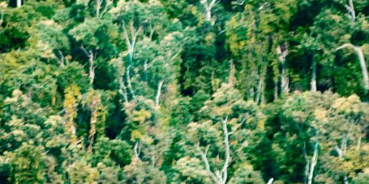 Humanes Wachstumshormon (HGH): Nutzen, Risiken und Anwendungsgebiete