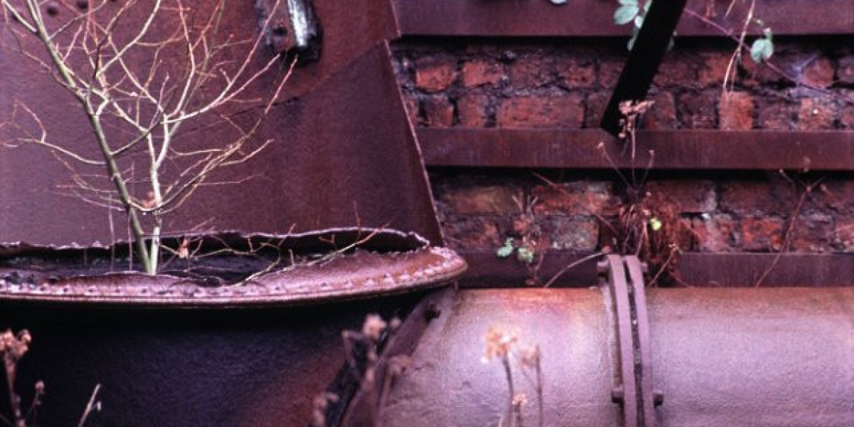 Insulin-ähnlicher Wachstumsfaktor 1 (IGF-1): Anwendungsgebiete, Nutzen und Dosierungshinweise