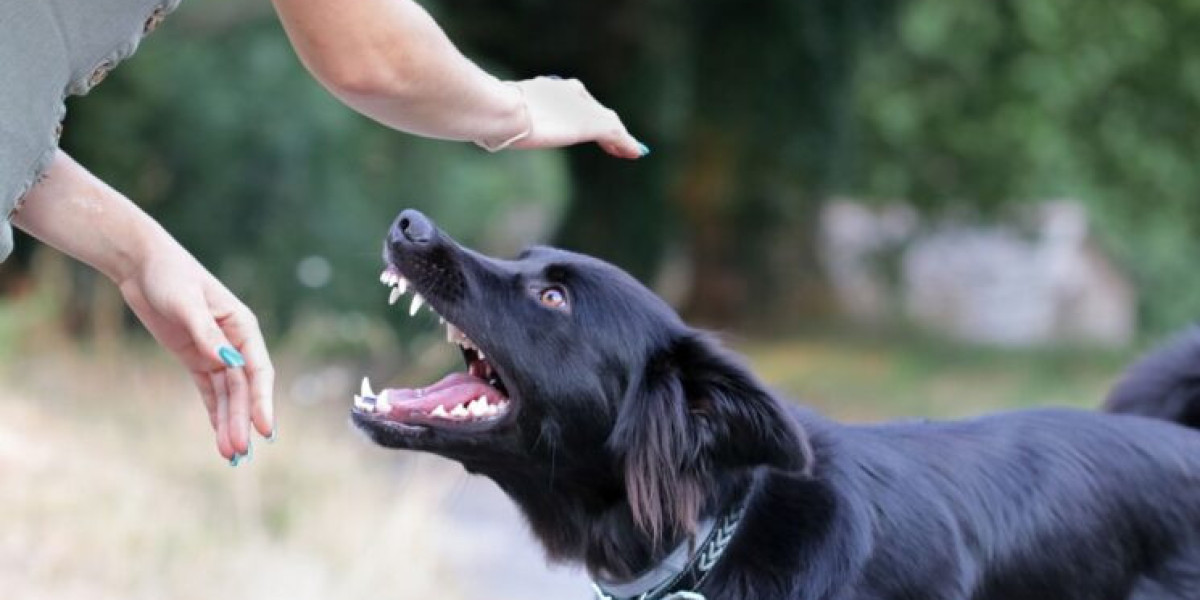 What to Do After a Dog Bite: Advice from a Dog Bite Attorney Las Vegas NV