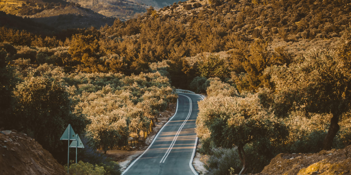 This Is The Ultimate Cheat Sheet On Buy Valid European Driver's License