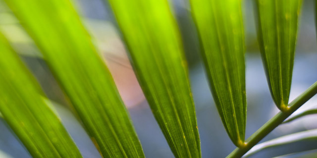 Human Growth Hormone (HGH): Nutzen, Risiken und Einsatzgebiete