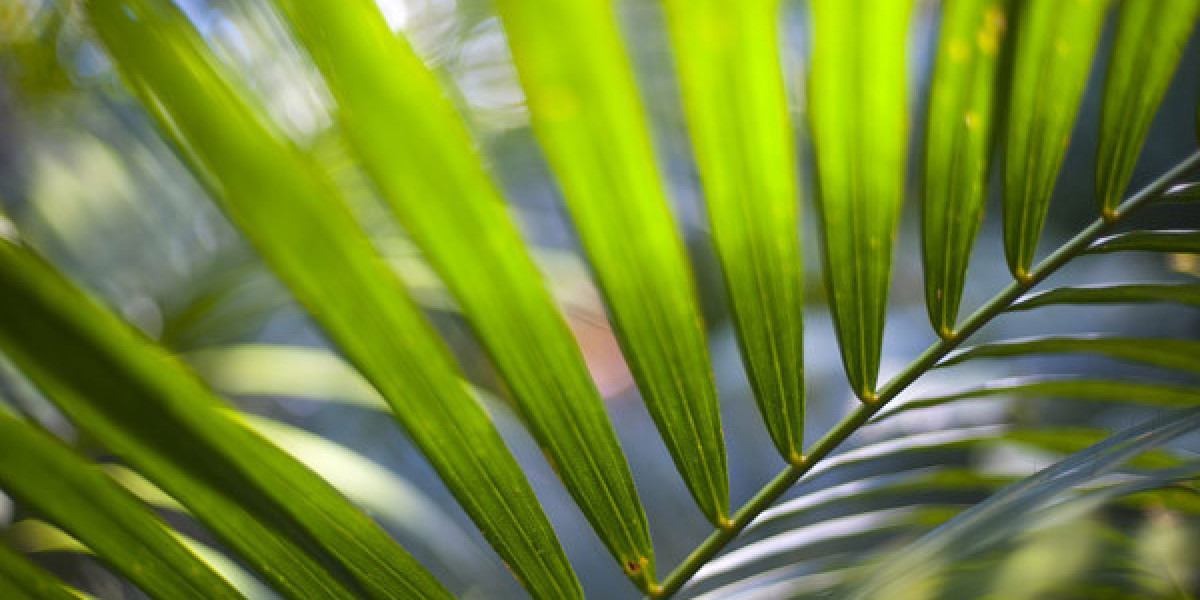 The Advantages Of Sermorelin And Ipamorelin