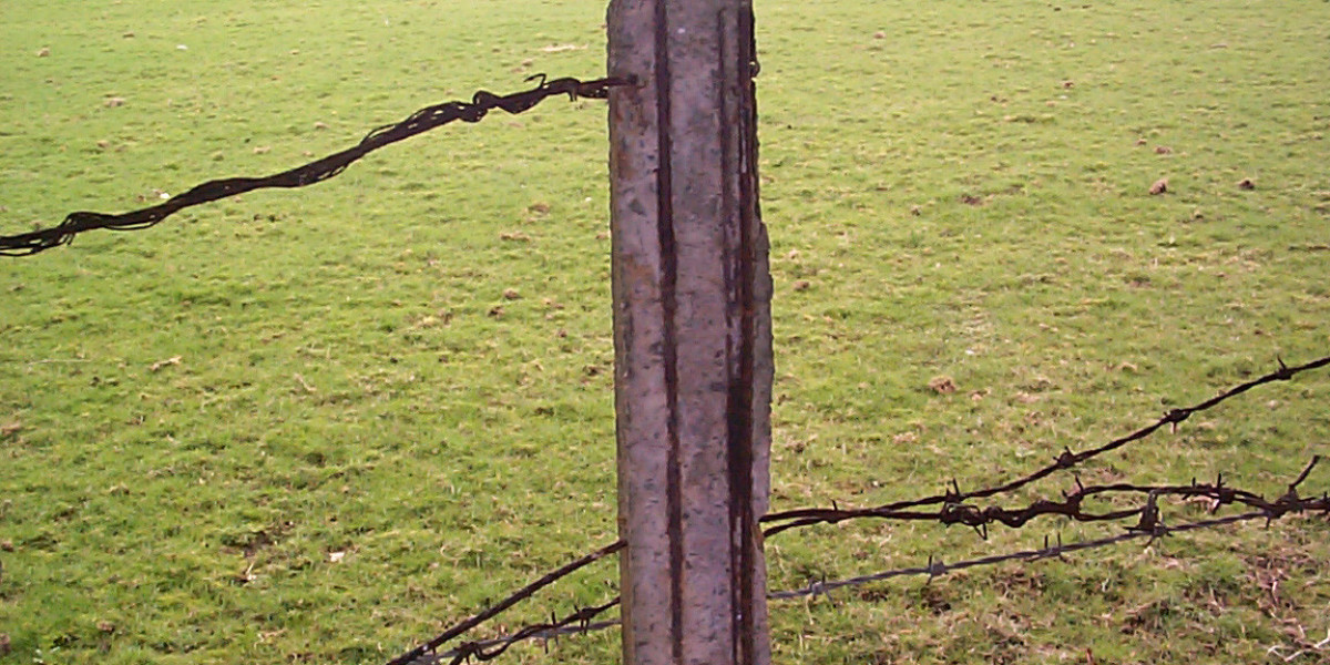 Titel: Wachstumshormon Norditropin