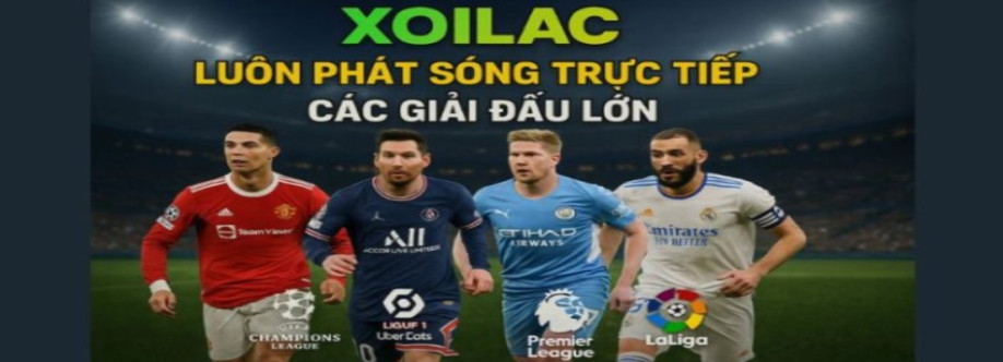 maniffestocom giả mạo Cover Image