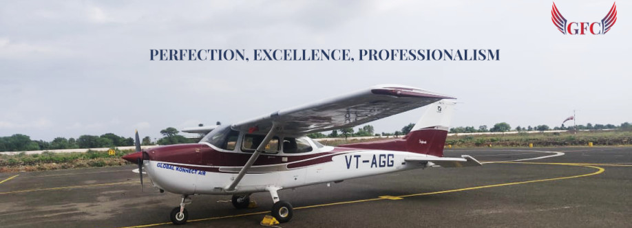 Top Flying School in India Profile Picture