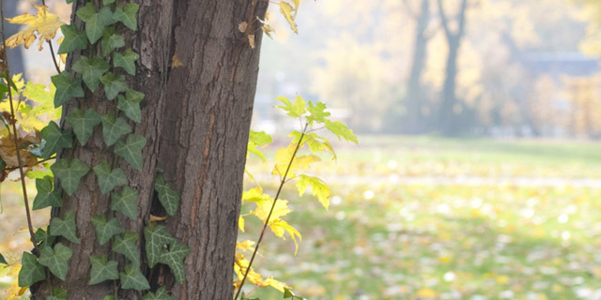 Jedes Kind Sollte die Chance zu wahrer Größe haben – Kinder- und Jugendgynäkologie