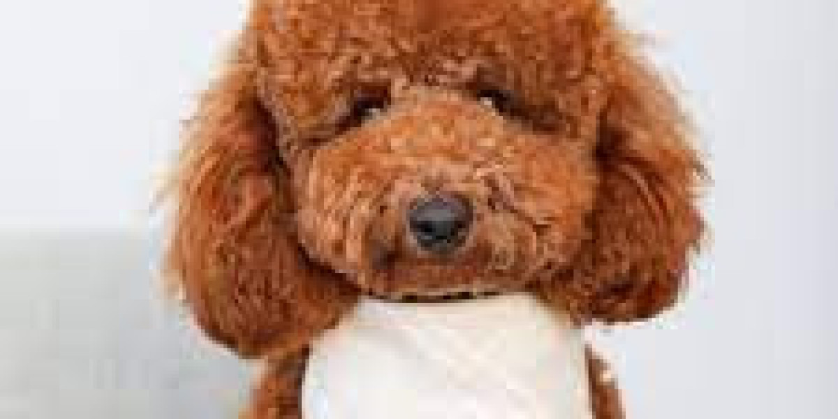 Waglane Bandana – The Perfect Blend of Fashion and Function for Pets