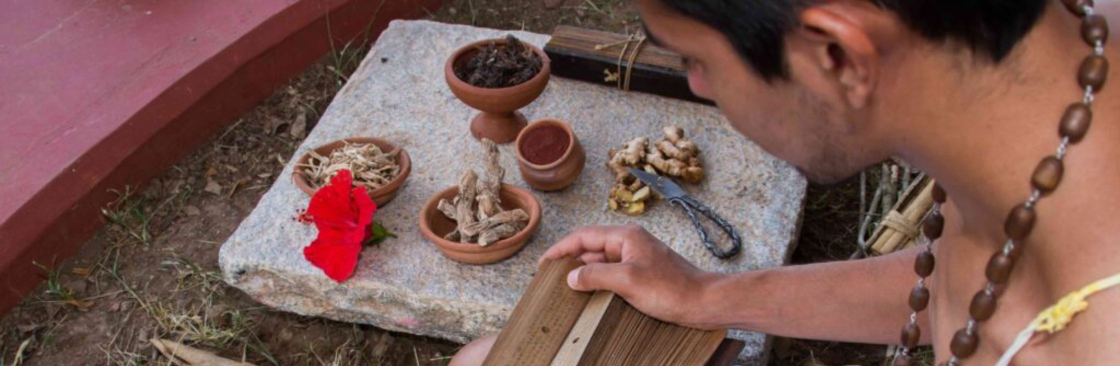 My Palm Leaf Cover Image