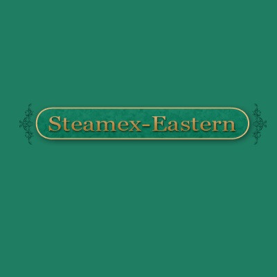 Steamex Eastern of Toledo Profile Picture