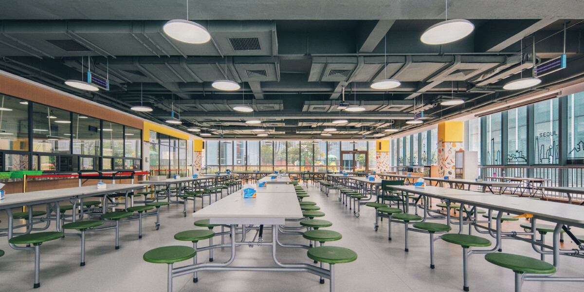 Why Wuhan Yangtze International School Is a Top Choice for Expats in Central China