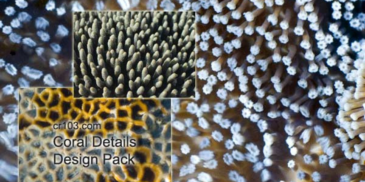 The Ultimate Guide: When Is The Best Time To Take Dianabol For Bodybuilding?