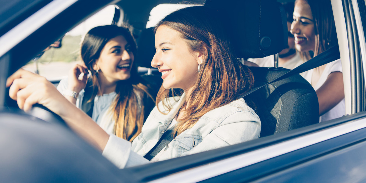 Denmark License Support 101: It's The Complete Guide For Beginners