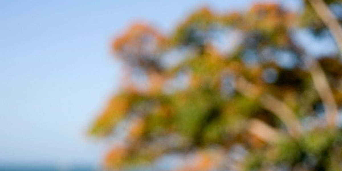 GutTides: Revolutionizing NuBioAge Measurement