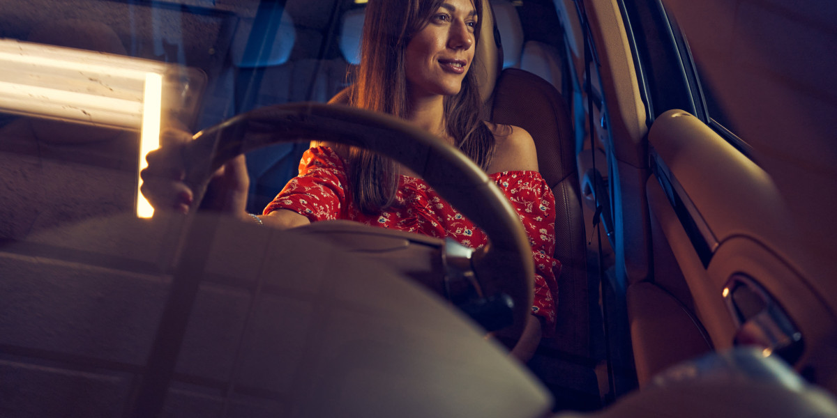 The Best Czech Driving License Fees That Gurus Use 3 Things