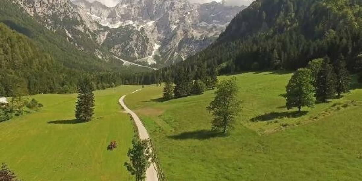 Ladbrokes and Coral Owner to Pay £585m over Bribery Allegations