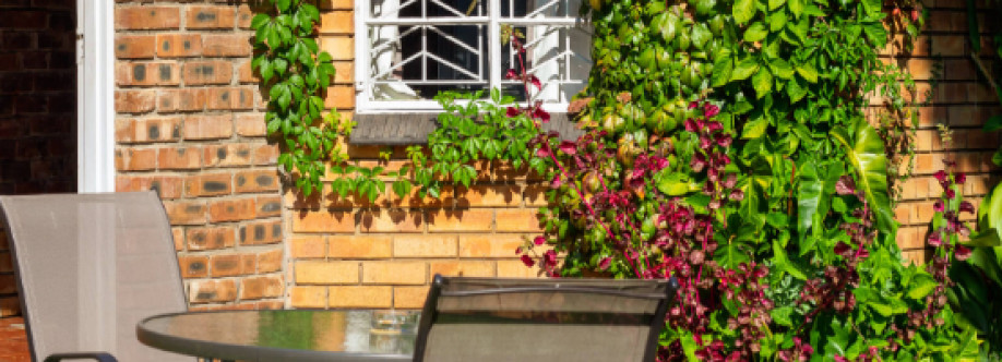 Tree Aloe Cover Image