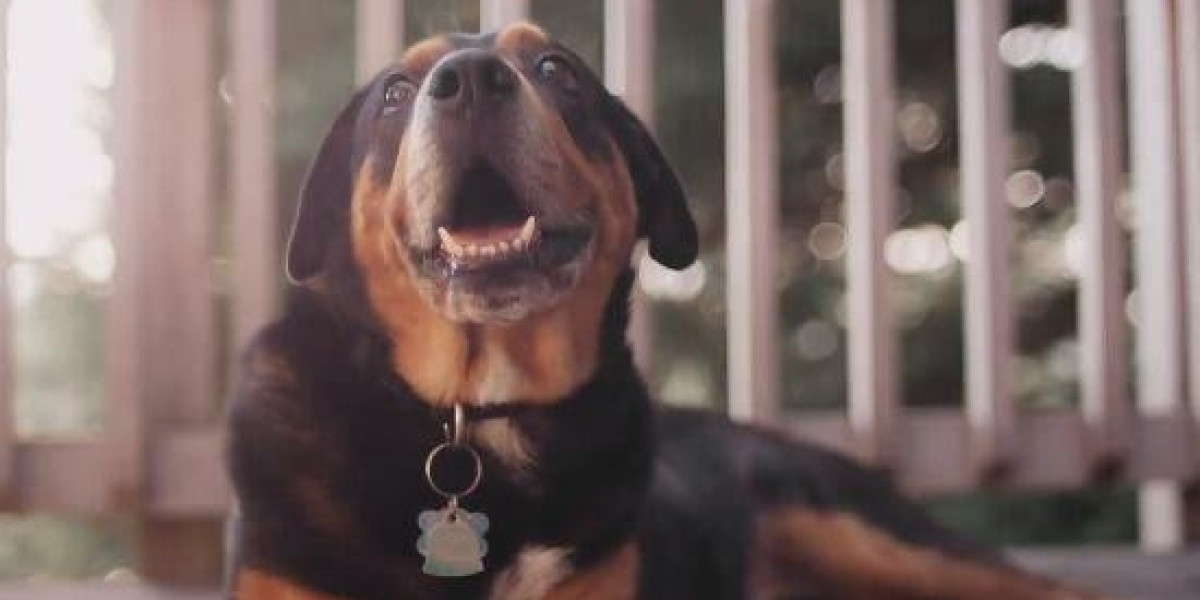 Tenancy in Common Agreement: A General Guide