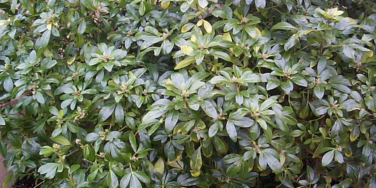 Handelsrecht – Definition