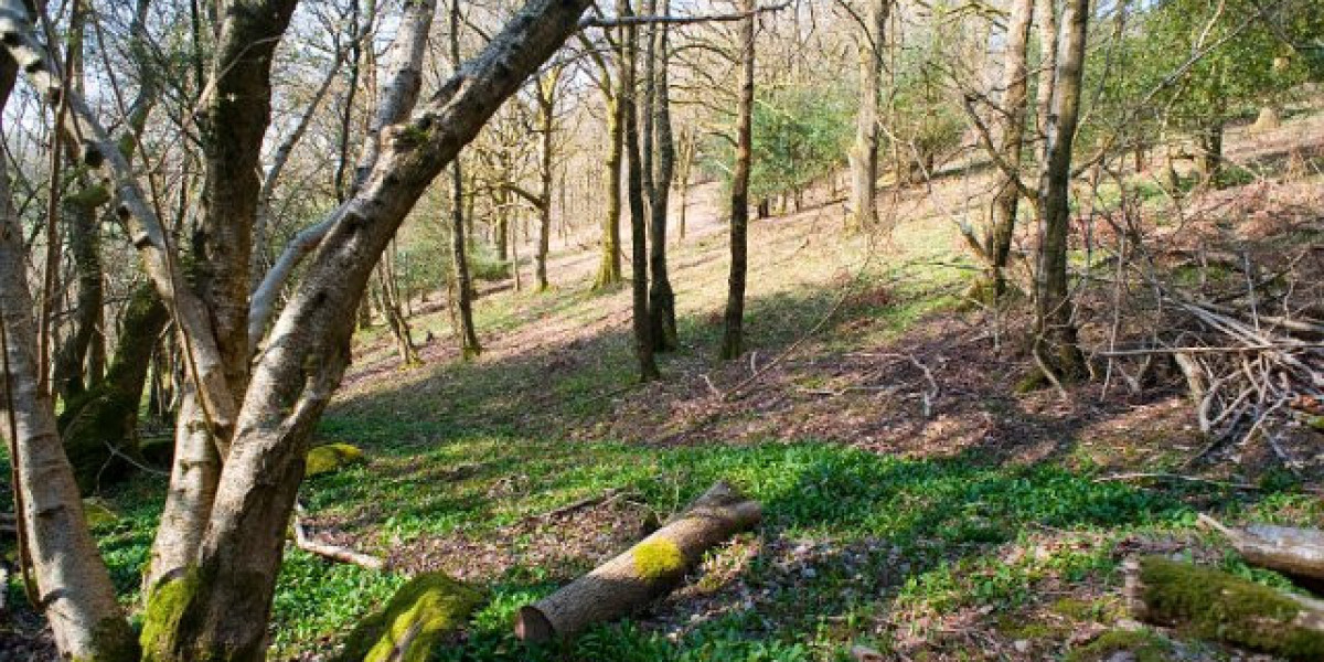 Anadrol Oxymetholone: The Ultimate Guide