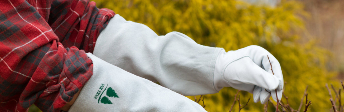 Fir Tree Gloves Cover Image