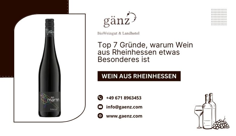 Top 7 Gründe, warum Wein aus Rheinhessen etwas Besonderes ist – BioWeingut Gaenz
