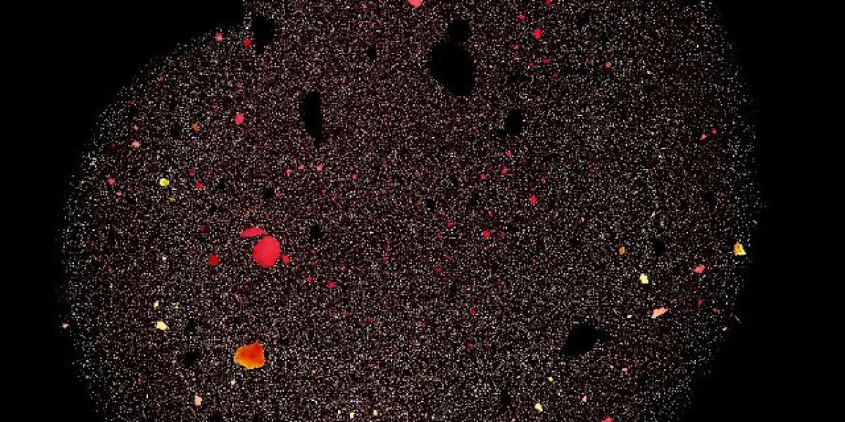 Anavar Results: How Long Until You See A Change?