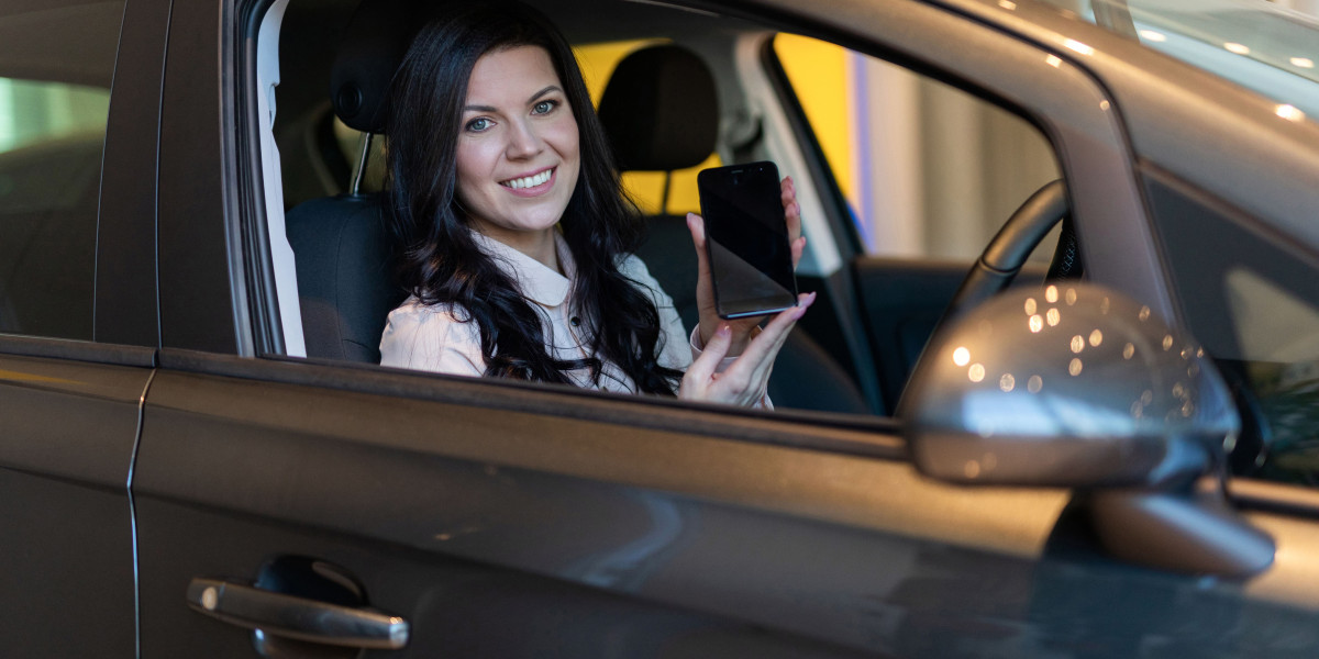 Guide To Duplicate Irish Driving License: The Intermediate Guide For Duplicate Irish Driving License