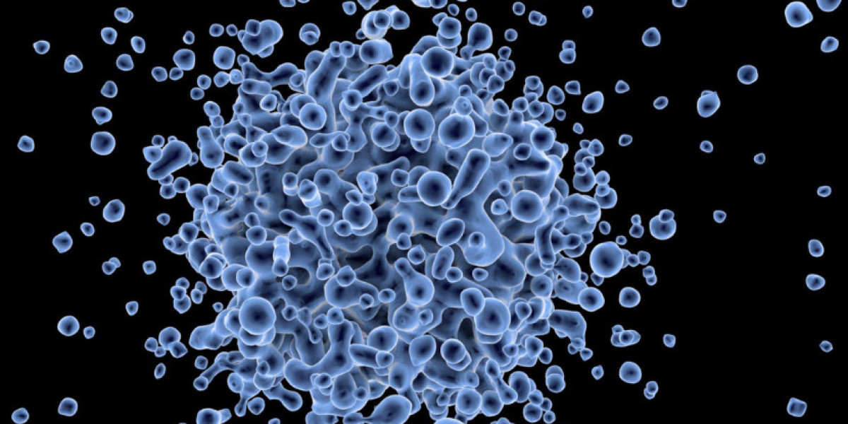 Stem Cell Assay Market Share, Size & Industry Analysis 2034