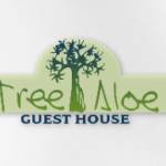 Tree Aloe Profile Picture