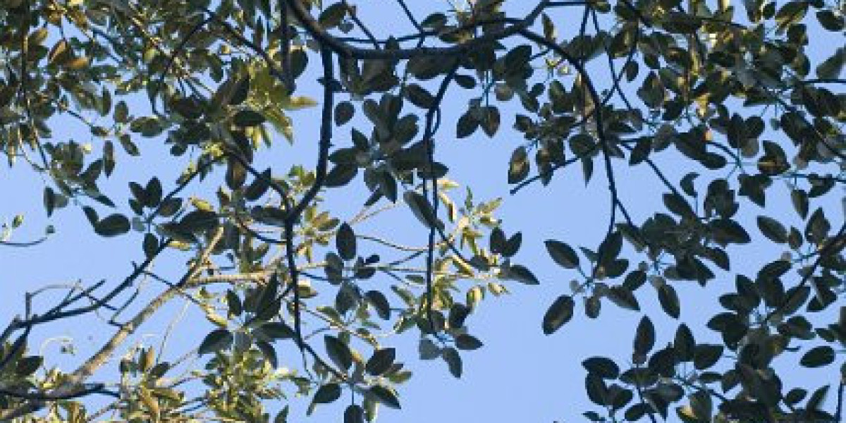 Nandrolone: Uses, Benefits & Side Effects