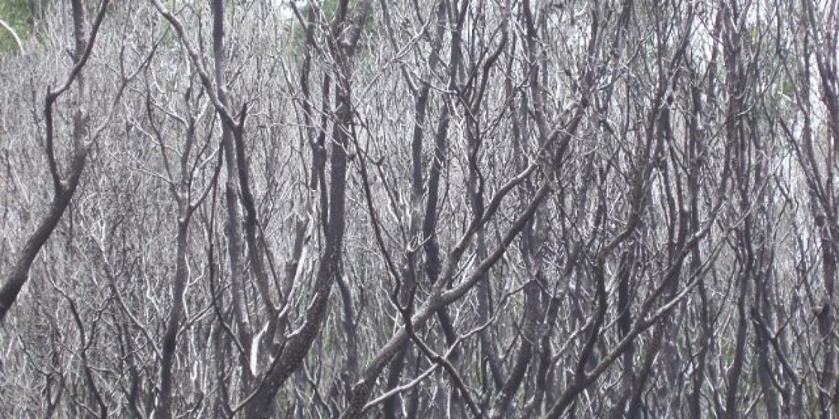 KPV Peptide: Revolutionizing Inflammation Control, Immune Support, and Digestive Wellness