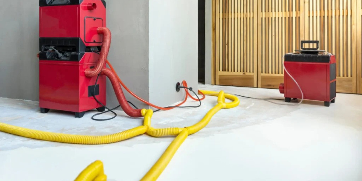 Restoring Homes and Health: Expert Water and Mold Solutions