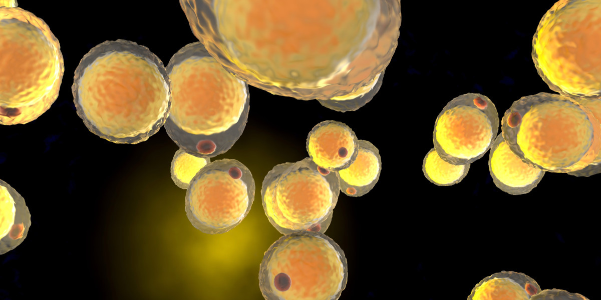 Unlocking the Future of Healthcare with AI-Powered Multi-Omics Insights