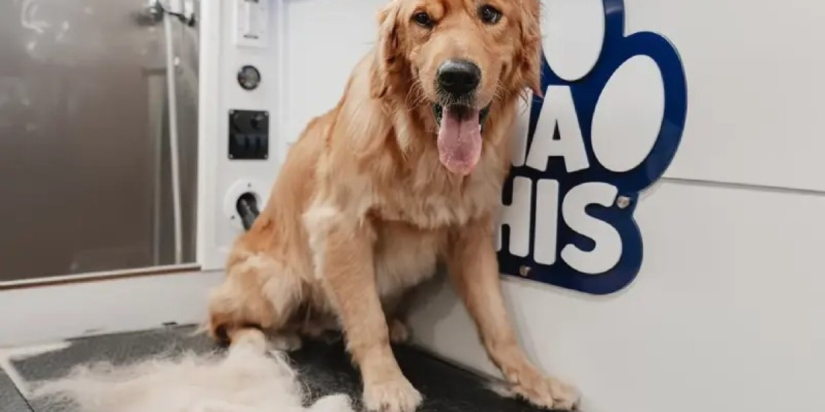 Transform Your Pup’s Look with Premium Dog Grooming Services Tampa