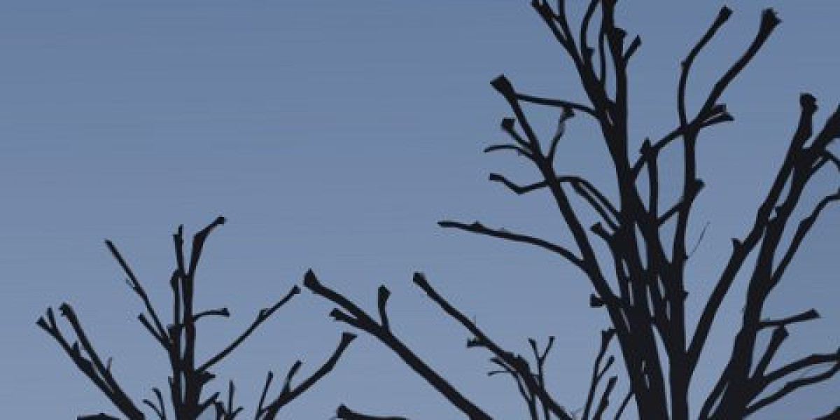 Anabolic Steroids Information