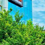 shivani singh Profile Picture