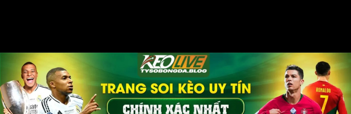 Tysobongda blog Cover Image