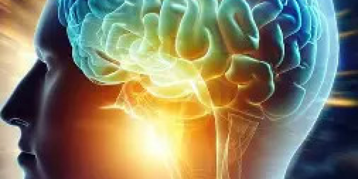 Enhance Cognitive Functions with Natural Brain Support Formula