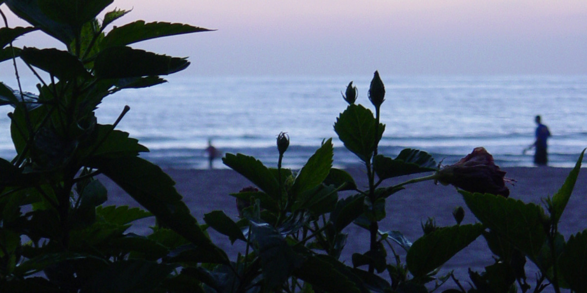 Cardarine Earlier Than And After Results: Four Transformations