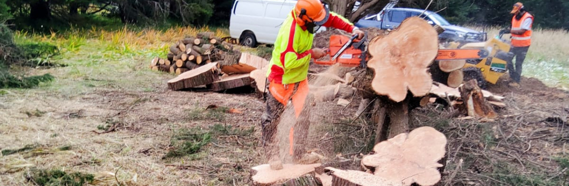 AJ Quality Arborists Cover Image