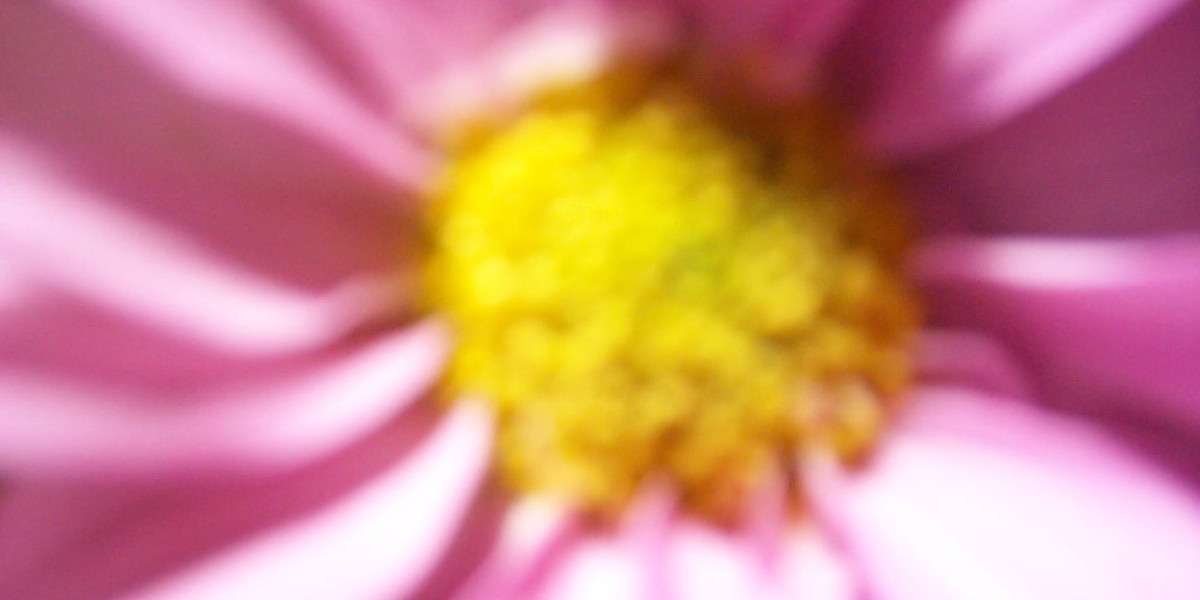 Free Slots Free Casino Games Online