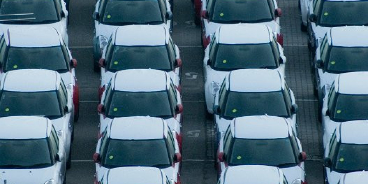 Sparking Joy and Thrills at the WS Casino Adventure