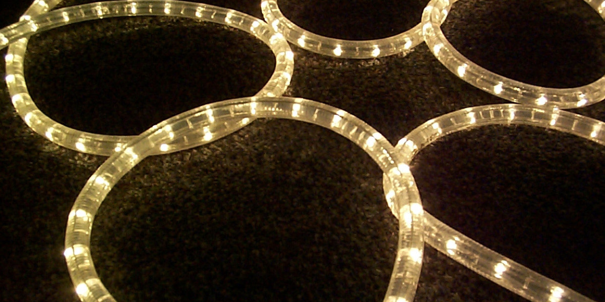 Sparking Joy and Thrills at the WS Casino Adventure