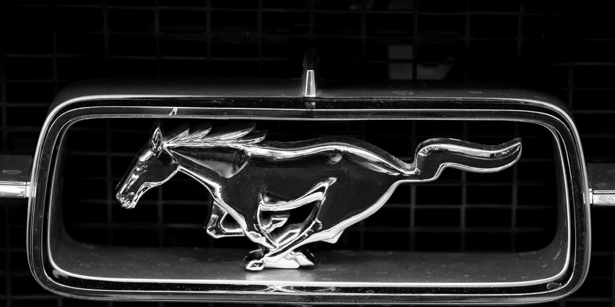 The Power of Sport: More Than Just a Game